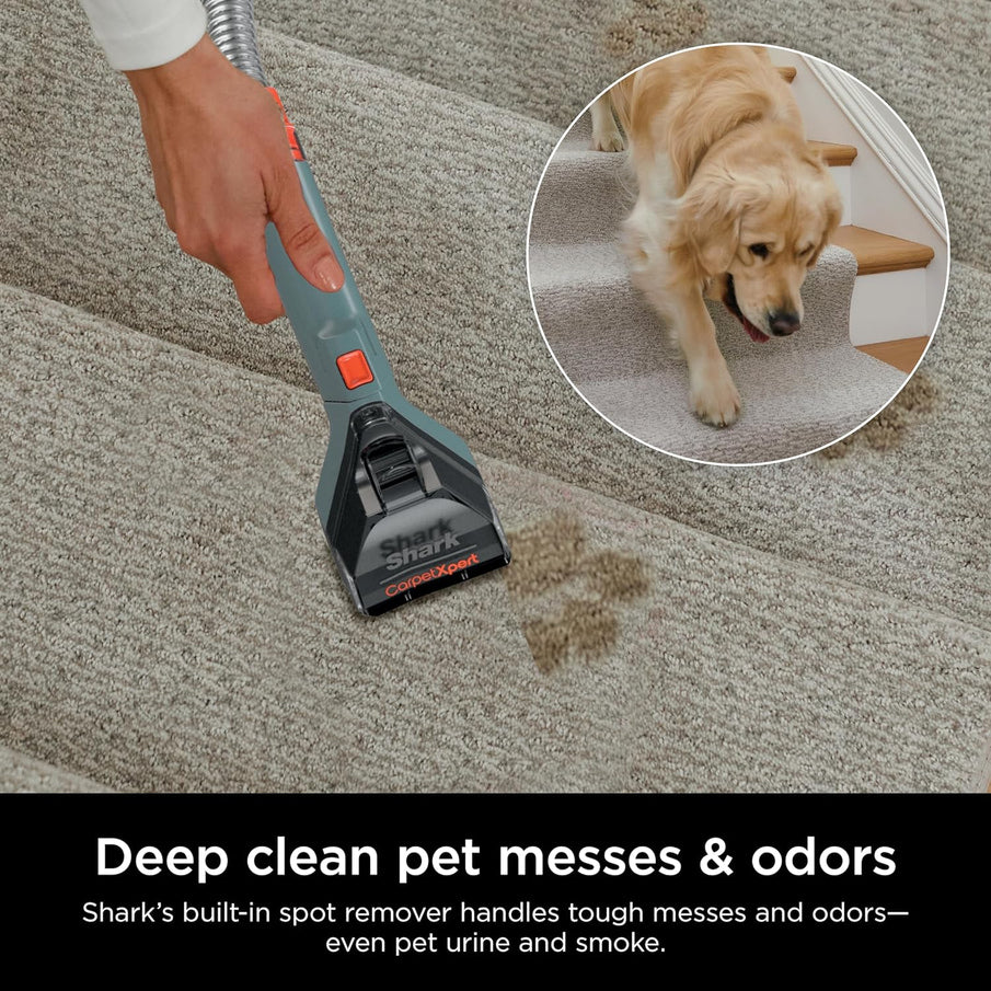 Shark CarpetXpert EX201 Carpet Cleaner, Cyan, Deep Cleaning With StainStriker, For Pets, Includes Spot And Stain Remover Tools